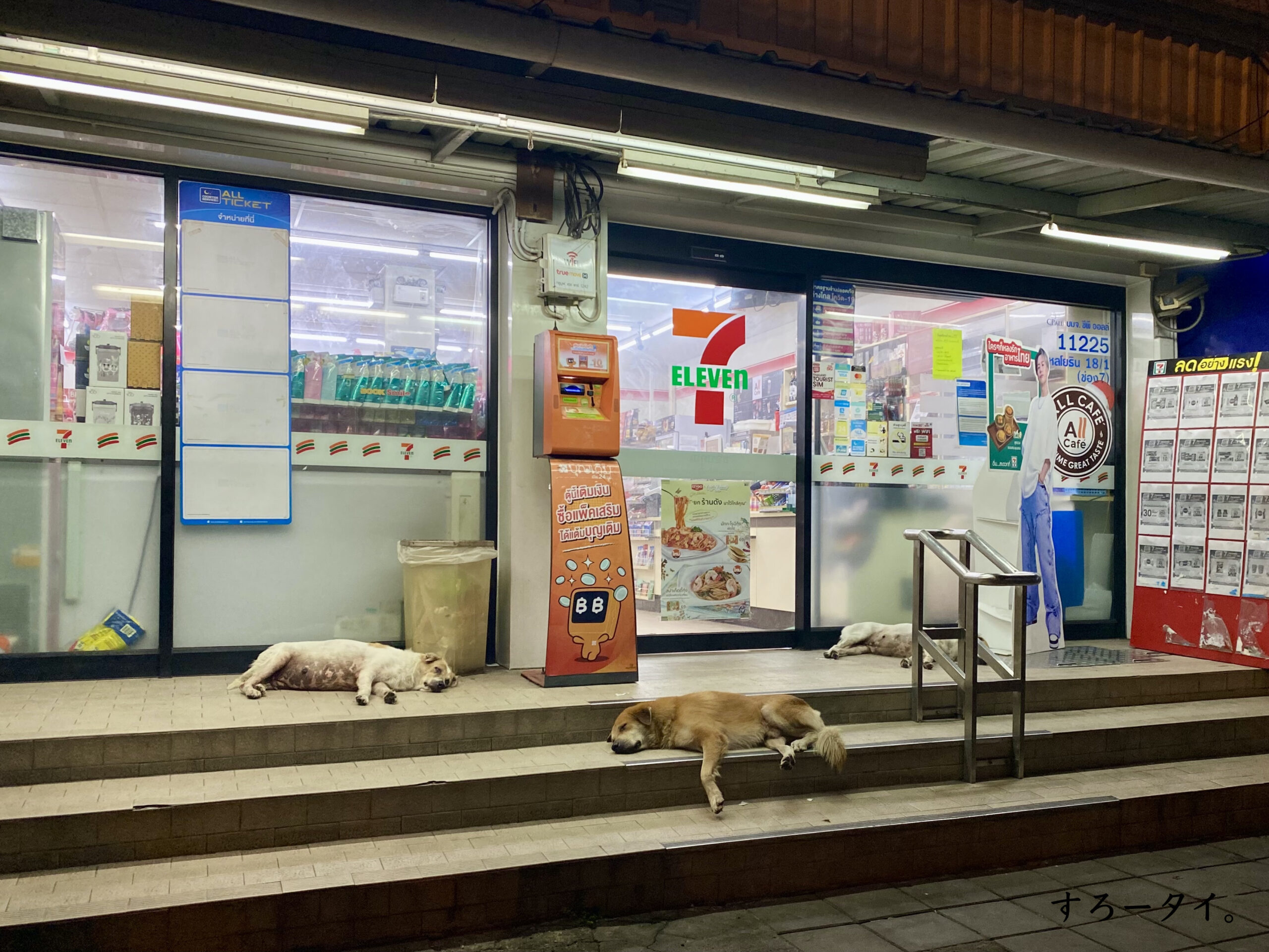 タイ　セブン