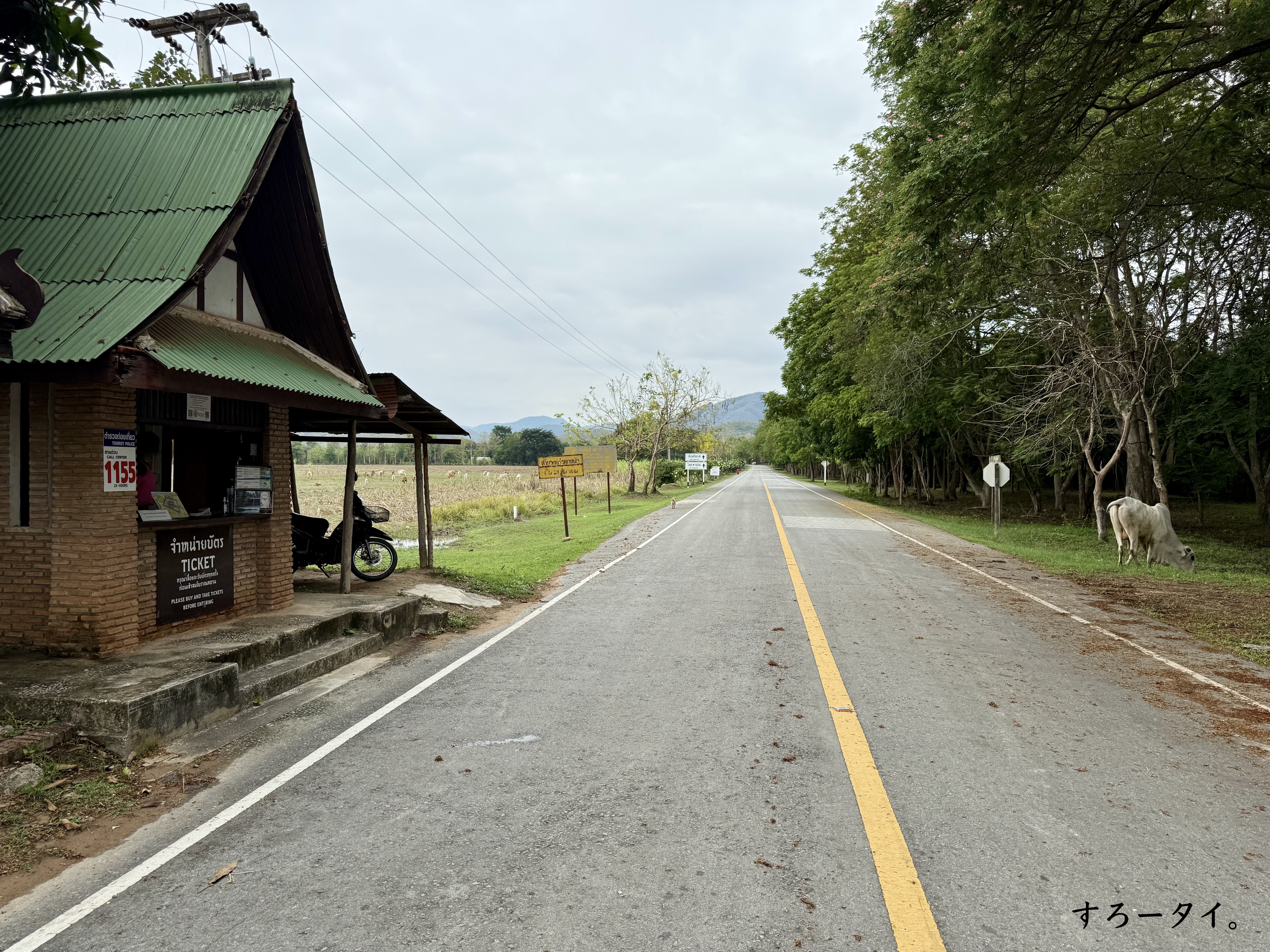 スコータイ歴史公園（อุทยานประวัติศาสตร์สุโขทัย）