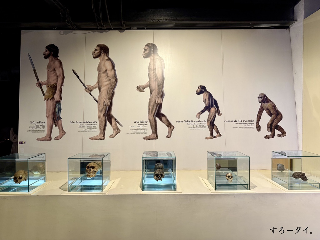 シリントーン博物館(พิพิธภัณฑ์สิรินธร)