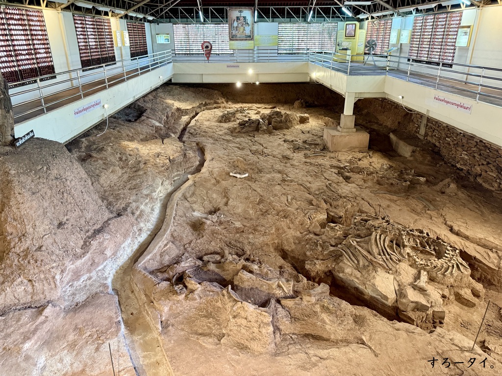 シリントーン博物館(พิพิธภัณฑ์สิรินธร)