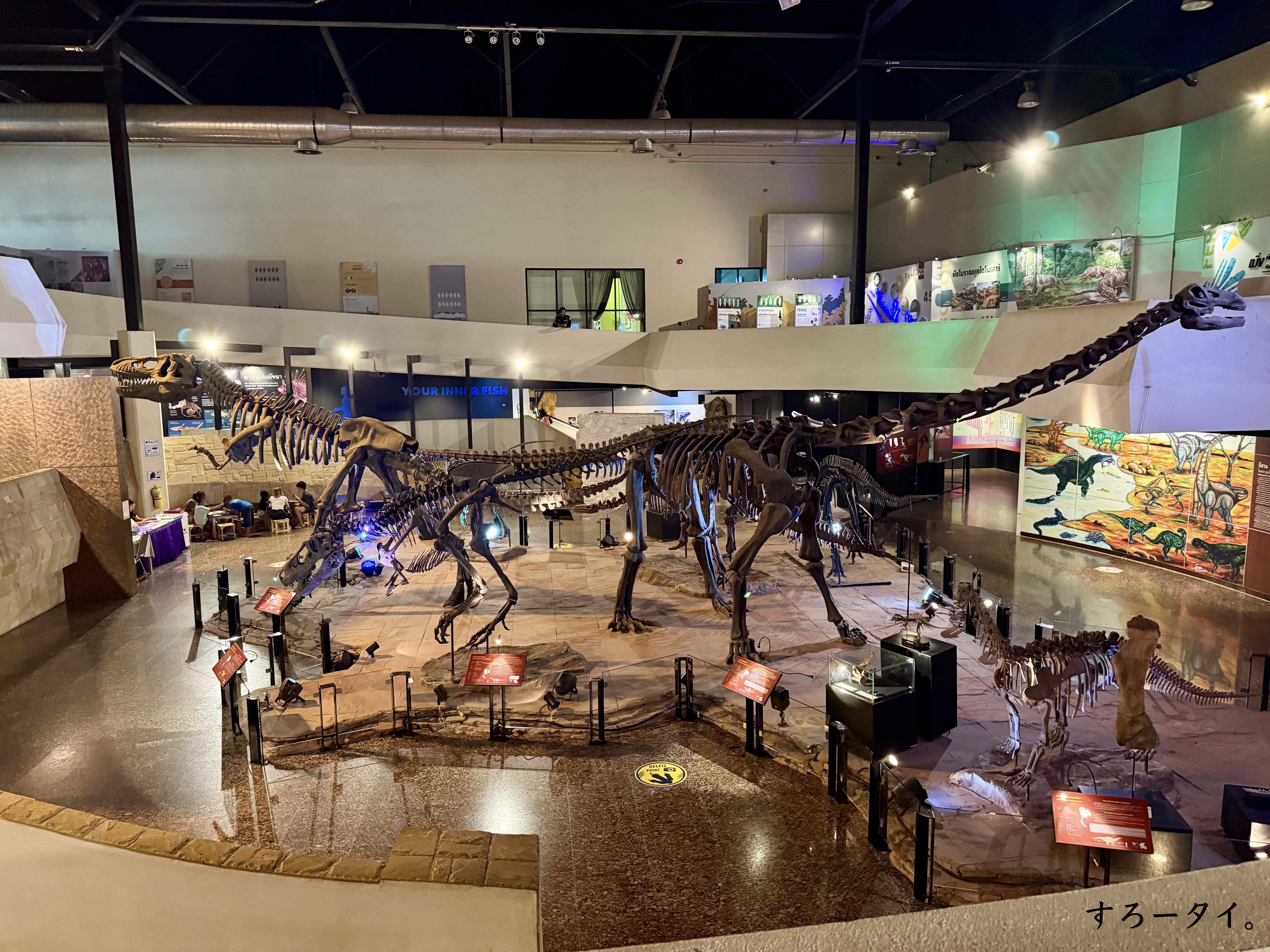 シリントーン博物館(พิพิธภัณฑ์สิรินธร)