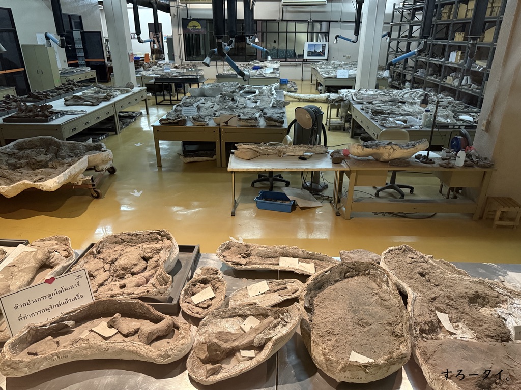 シリントーン博物館(พิพิธภัณฑ์สิรินธร)