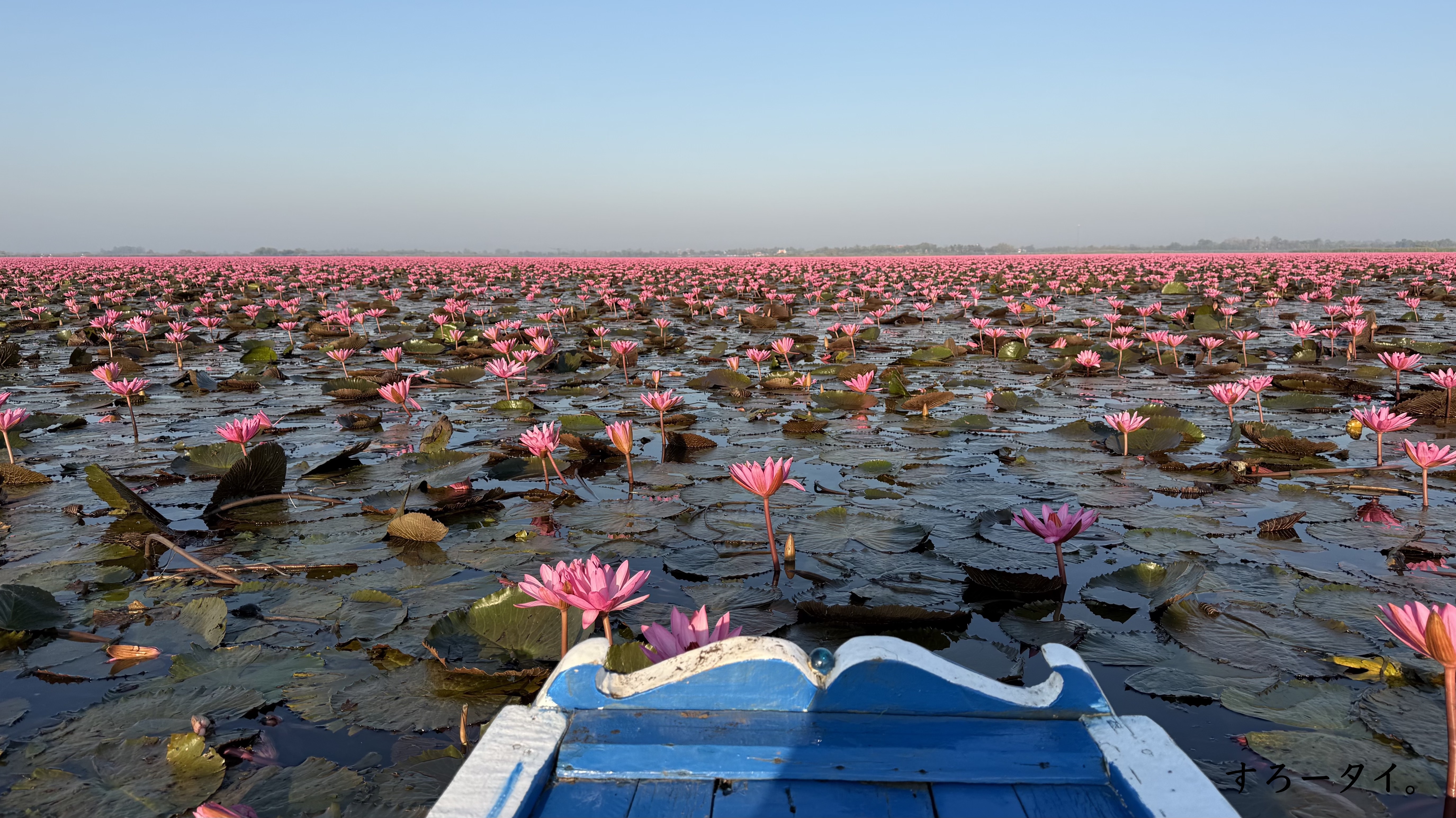 タレーブアデーン(ทะเลบัวแดง)
