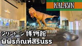 シリントーン博物館(พิพิธภัณฑ์สิรินธร)