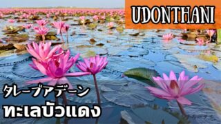 タレーブアデーン(ทะเลบัวแดง)