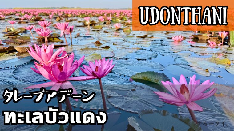 タレーブアデーン(ทะเลบัวแดง)