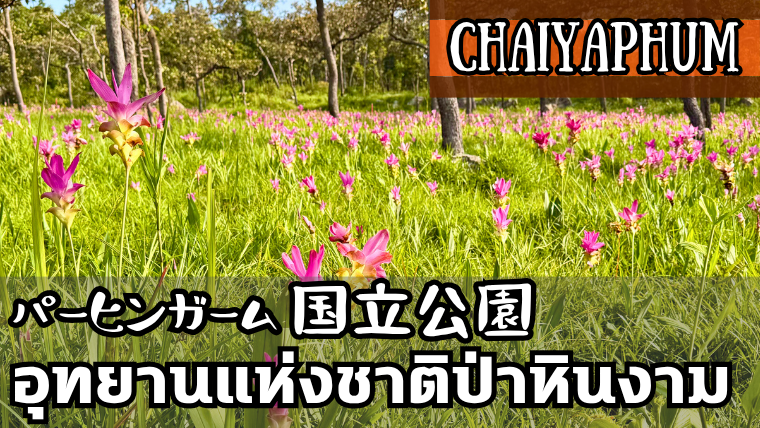 パーヒンガーム国立公園(อุทยานแห่งชาติป่าหินงาม)