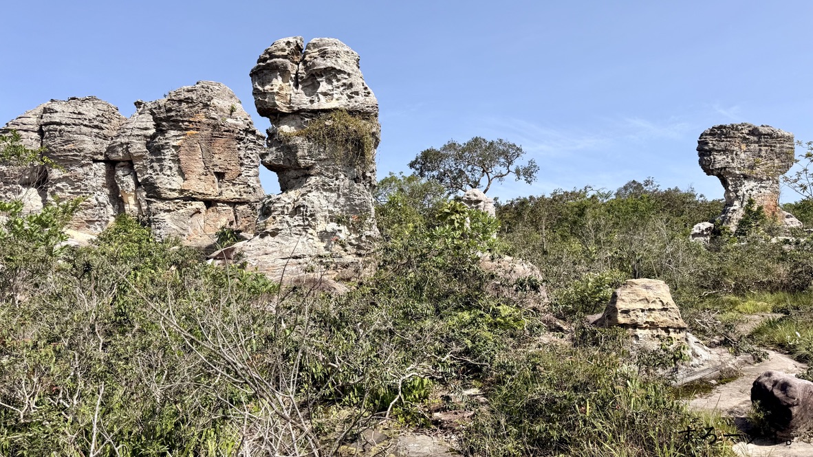 パーヒンガーム国立公園(อุทยานแห่งชาติป่าหินงาม)